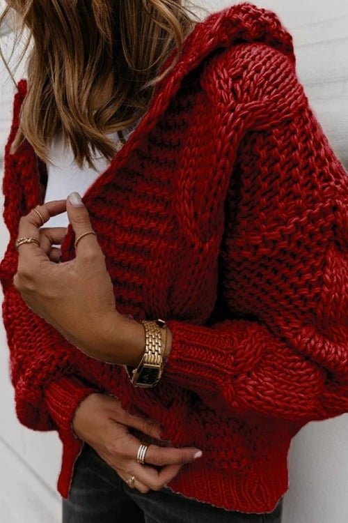Oversize Braided Chunky Sweater Hoodie Knitted Cardigan Jacket Sweater - Image 13